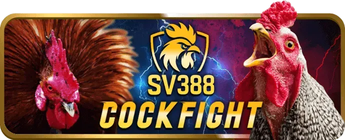 Khuyến mãi và chương trình VIP 888now20